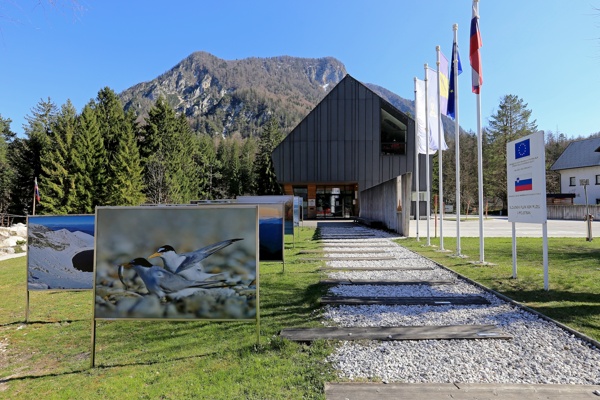 po-poti-stare-zeleznice-v-slovenski-planinski-muzej-outdoor-mojstrana