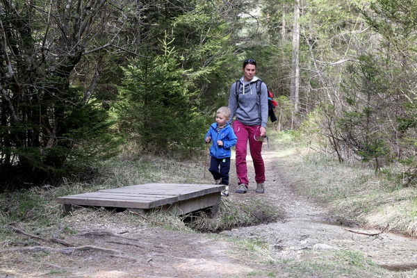 across-technological-education trail-to- Grancisce-viewpoint-outdoor-mojstrana