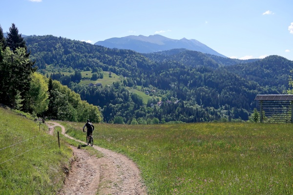 spanov-and-crni-vrh-and-the-kingdom-of-daffodils-outdoor-mojstrana