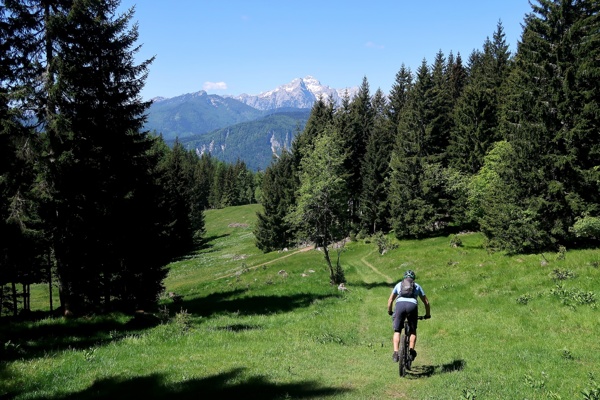 spanov-and-crni-vrh-and-the-kingdom-of-daffodils-outdoor-mojstrana