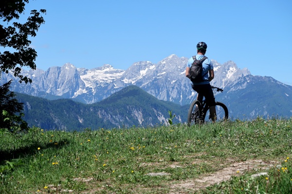 spanov-and-crni-vrh-and-the-kingdom-of-daffodils-outdoor-mojstrana