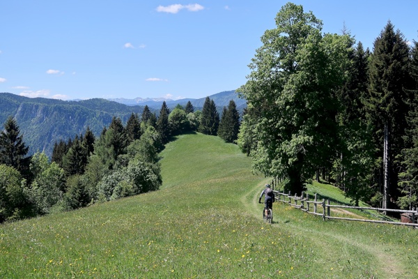 spanov-and-crni-vrh-and-the-kingdom-of-daffodils-outdoor-mojstrana