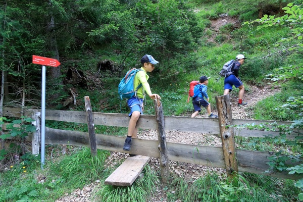 skozi-aljazevo-vas-in-mlinco-na-velicastno-kepo-outdoor-mojstrana