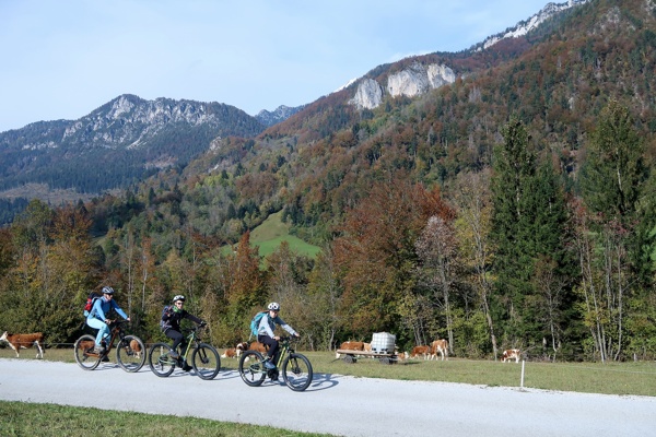 along-the-path-of-iron-and-cultural-heritage-to-Radovljica-Linhart-town-outdoor-mojstrana