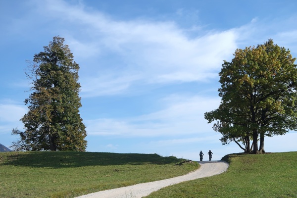 along-the-path-of-iron-and-cultural-heritage-to-Radovljica-Linhart-town-outdoor-mojstrana