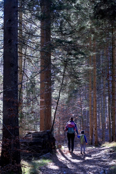 across-lake-kreda-to-crna-gora-outdoor-mojstrana