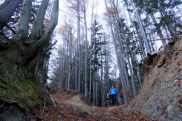 the-paths-of-triglav-fairytales-to-borovlje-outdoor-mojstrana